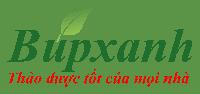 Búp Xanh Có Bán Sỉ Dược Liệu Không? Thông Tin Dành Cho Người Mua Số Lượng Lớn