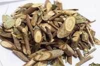 Chữa ung thư từ cây an xoa