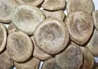 Địa chỉ bán hạt mã tiền tại thành phố hồ chí minh