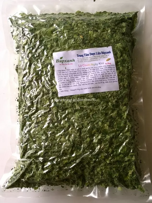 Địa chỉ bán cây chùm ngây tại an giang